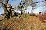 IMG_8817_1