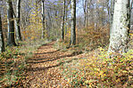 IMG_8775_1