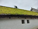 IMG20241114105936