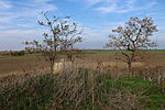 Csúcson