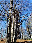 IMG_20241109_121143