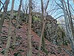 IMG_20241109_124301