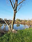 IMG_20241106_090612