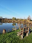 IMG_20241106_091122