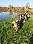 IMG_20241106_091133