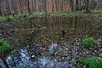 DSC09882