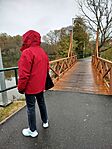 IMG20241113150532