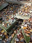 IMG_20241102_091724