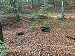 IMG_20241102_092012