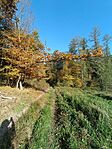 IMG_20241102_092610