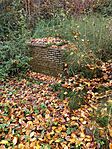 IMG_20241102_105648