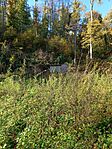 IMG_20241102_105819