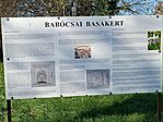 IMG_20241105_093223