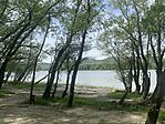 IMG_5633