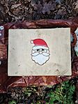 IMG_20241212_114310
