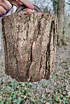 IMG_20241212_141006_edit_8774203447225
