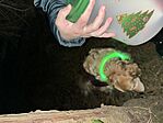 IMG_9153