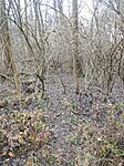 IMG_20241213_125020