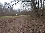 IMG_20241213_130249