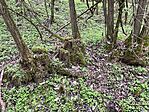IMG_8235