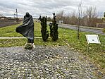IMG_8242