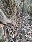 IMG_20241215_111912