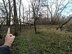 IMG_20241215_112337