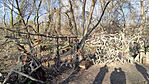IMG_20241201_110247