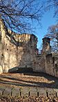 IMG_20241201_130515