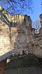 IMG_20241201_130536