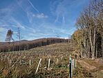 IMG_20241101_112058