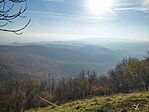 IMG_20241101_144241