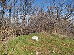 IMG_20241102_122511
