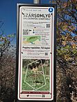 IMG_20241102_124325