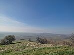 IMG_20241102_124420