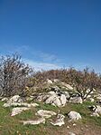 IMG_20241102_124433