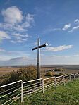 IMG_20241102_134904