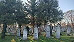 IMG_20241225_140640