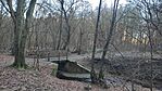 IMG_20241226_092351