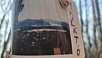 IMG_20241227_101947