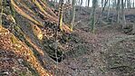 IMG_20241227_145021