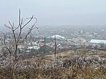 IMG_0459