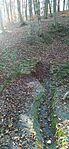 IMG_20241202_123206
