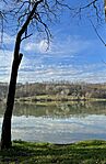 IMG_9522