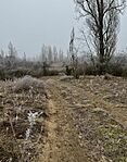 IMG_0315