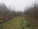 IMG_20241214_124136