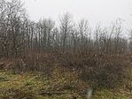 IMG_20241214_124151