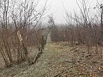 IMG_20241214_125408