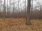 IMG_20241214_140642
