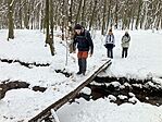 IMG_8468